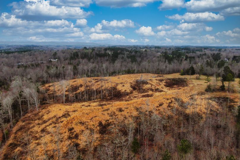 044 Drone Looking North