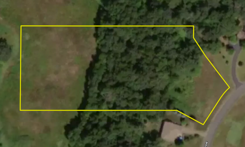 Screen Shot 2022-05-10 at 1.06.53 PM