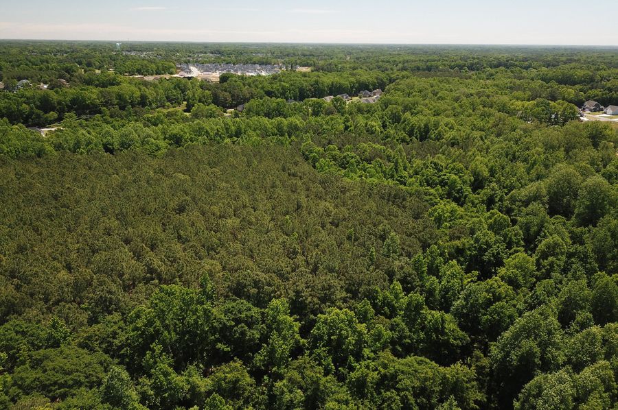 DJI_0040