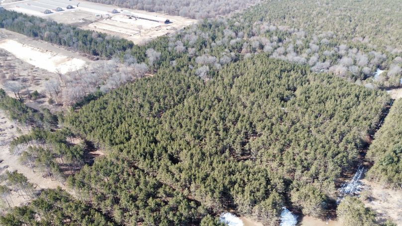 Photo_6619773_DJI_637_jpg_4354318_0_20223171180_photo_original