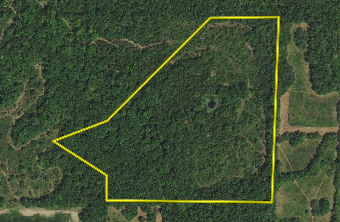 Screen Shot 2022-03-29 at 12.27.14 PM