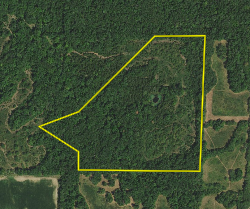 Screen Shot 2022-03-29 at 12.27.14 PM