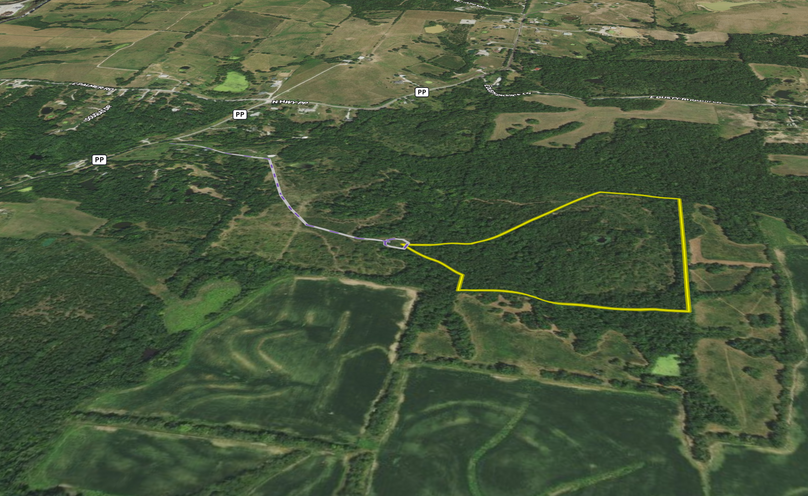 Screen Shot 2022-03-29 at 12.30.31 PM