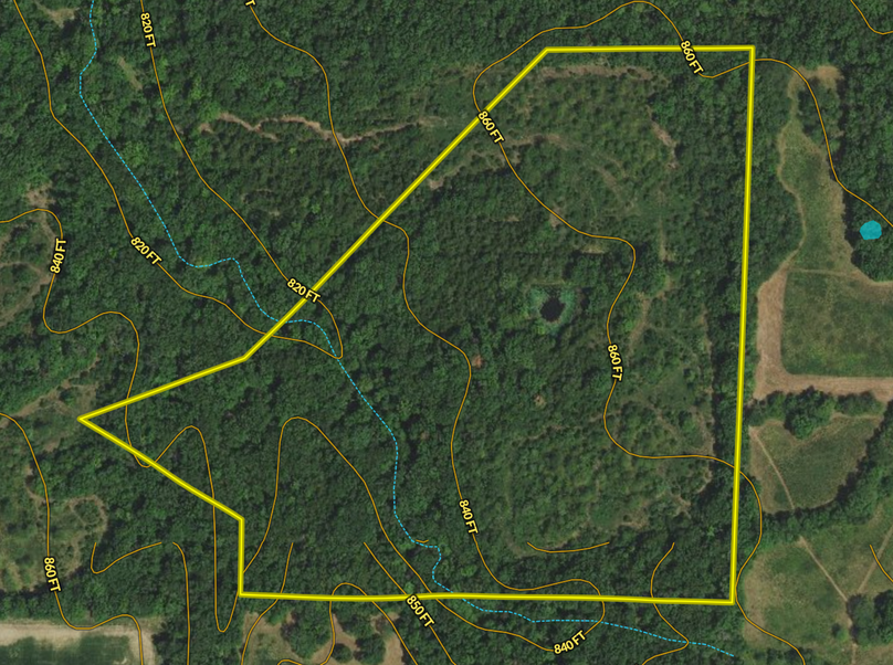 Screen Shot 2022-03-29 at 12.33.04 PM