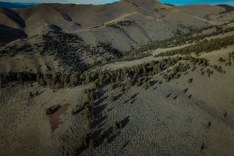 2. 20211121-DJI_0023