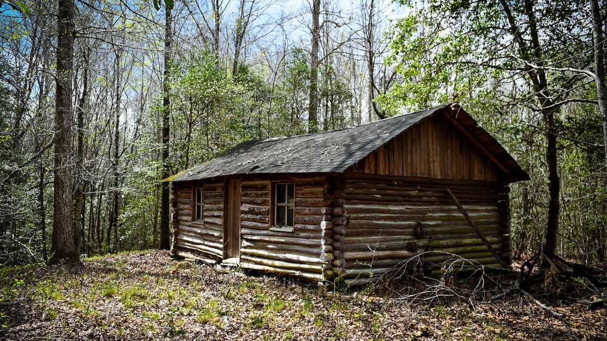 Recreational Tract With Rustic Log Cabin And Creek | Whitetail Properties