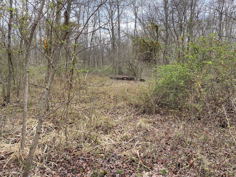 very thick part of the timber