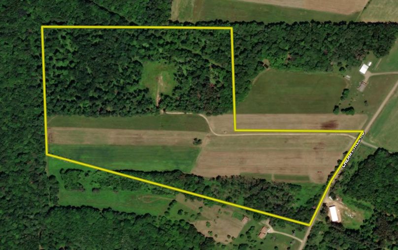 Screen Shot 2022-04-04 at 11.35.43 AM