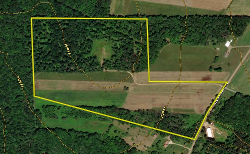 Screen Shot 2022-04-04 at 11.36.02 AM