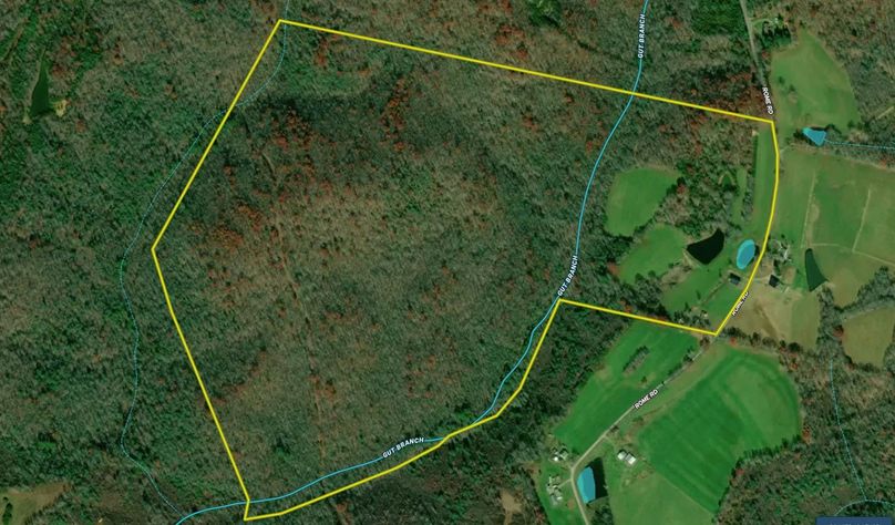 Screen Shot 2022-04-02 at 7.40.38 PM