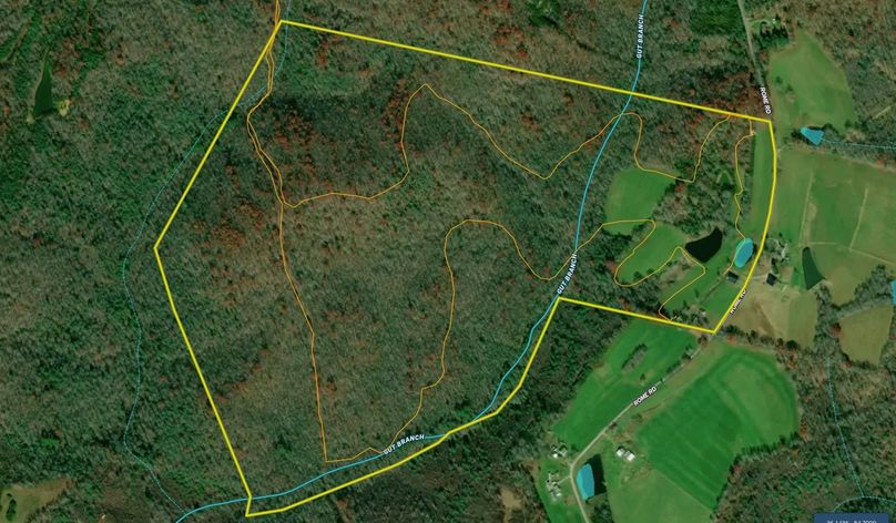 Screen Shot 2022-04-02 at 7.41.05 PM