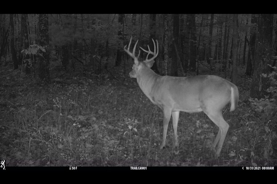 Buck2