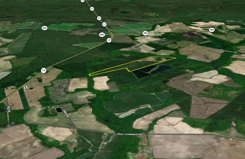 Martin Co NC 70 - Turner Laydown