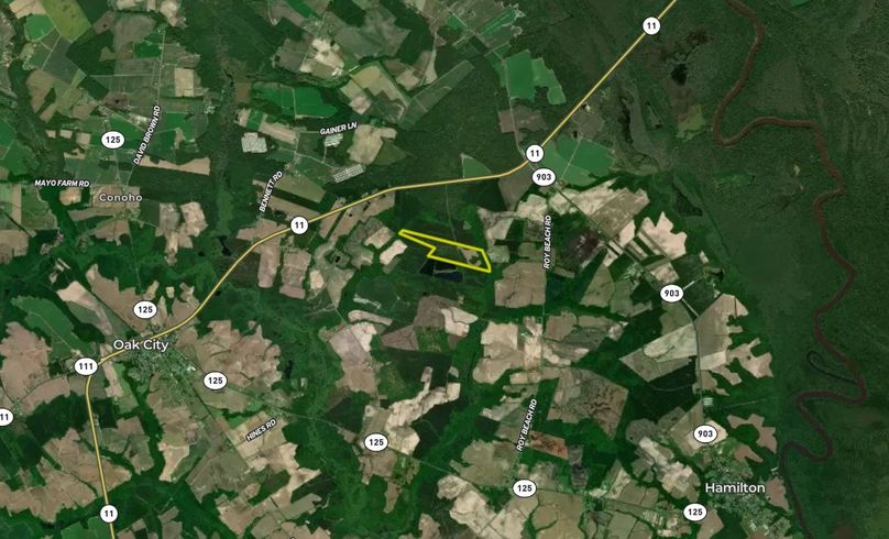 Martin Co NC 70 - Turner Zoom Out