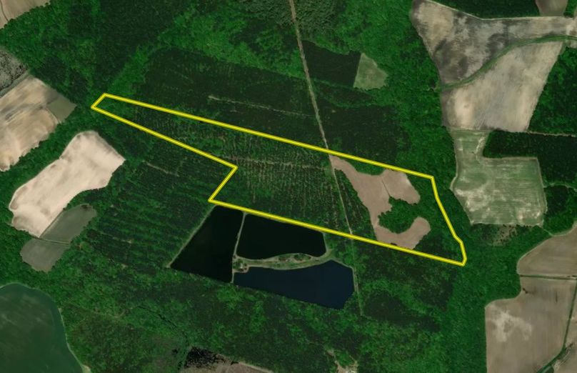 Martin Co NC 70 - Turner