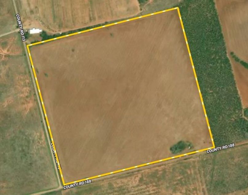 Screen Shot 2022-04-07 at 6.04.17 AM