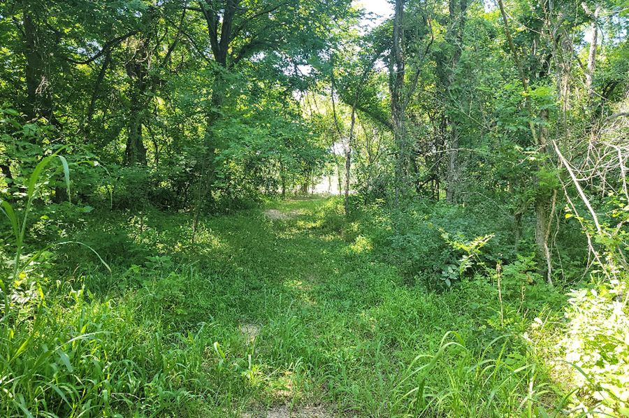 photo_614000000