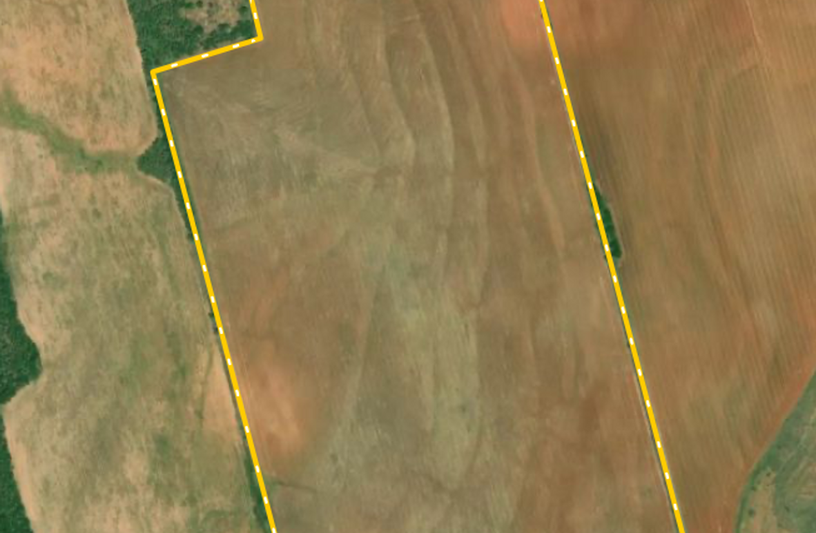 Screen Shot 2022-04-08 at 9.24.23 AM