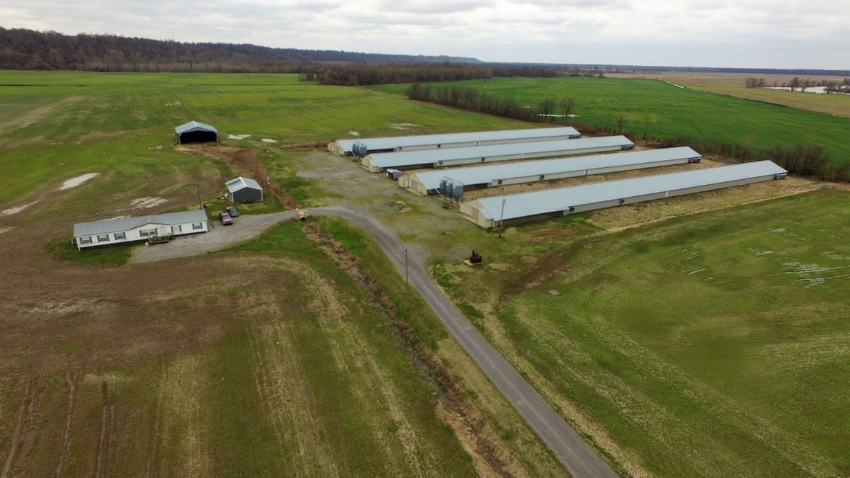 FourHouse Poultry Farm For Sale In Western KY Whitetail Properties