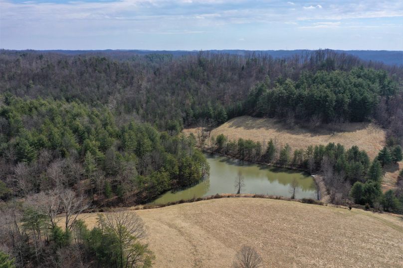 011 nearly 2 acre stocked lake in the eastern portion of the property