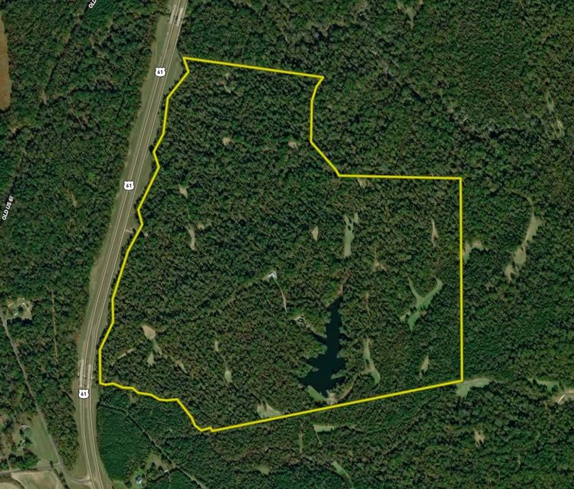 333 Jefferson co. Aerial Boundary