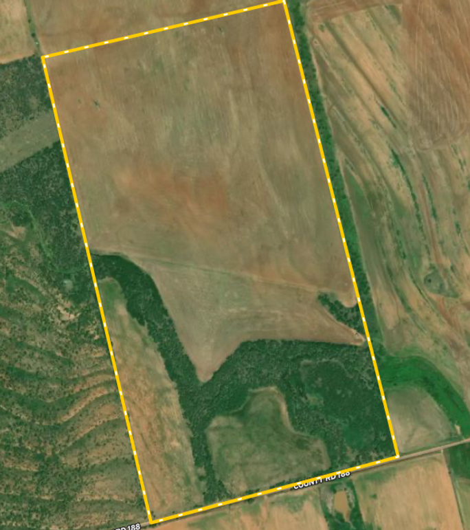 Screen Shot 2022-04-11 at 2.07.12 PM