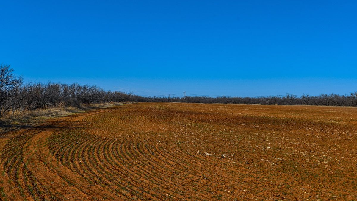 West TX Producing Property Whitetail Properties