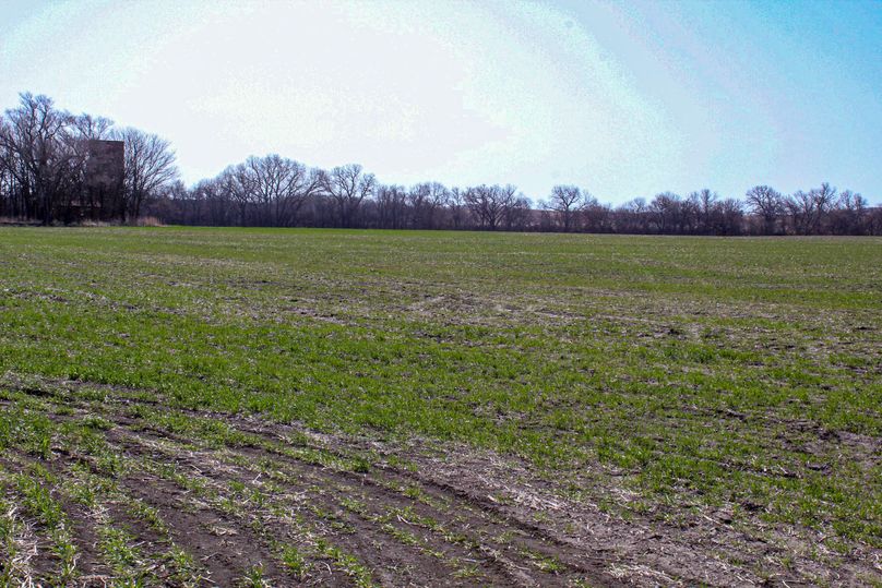 Lincoln Co,T12,240_022