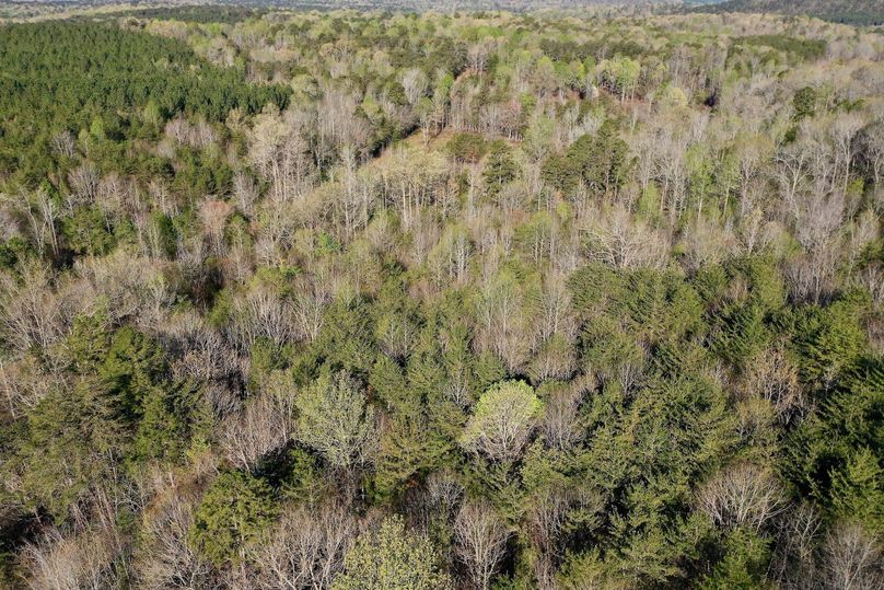 DJI_0120