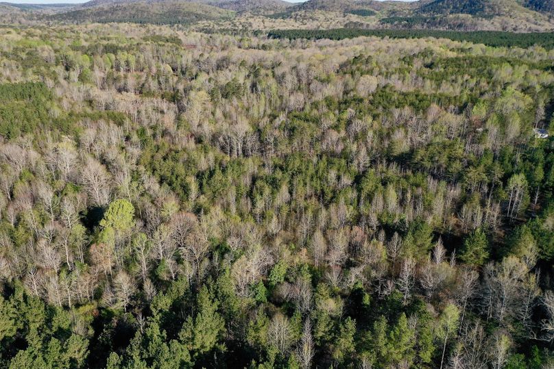 DJI_0102