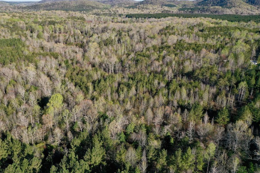 DJI_0102