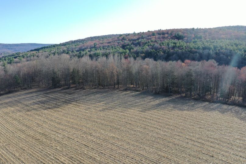 DJI_0490.Added 4_13_22JPG