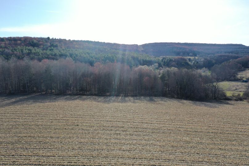 DJI_0488 Added 4_13_22