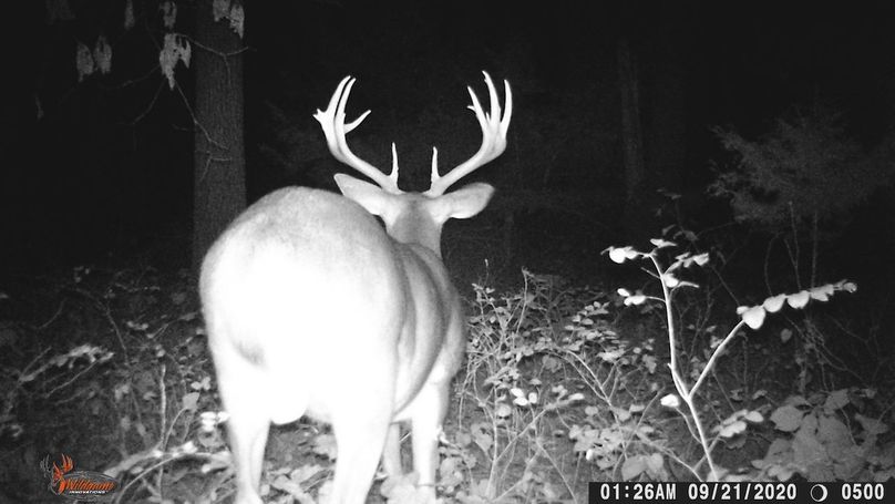 Mystery Buck 9-21-20