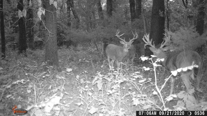 Big Nasty & Trashy 9-21-20 6.27 to 8.12AM BP 30.19 & rising