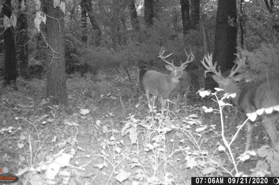 Big Nasty & Trashy 9-21-20 6.27 to 8.12AM BP 30.19 & rising