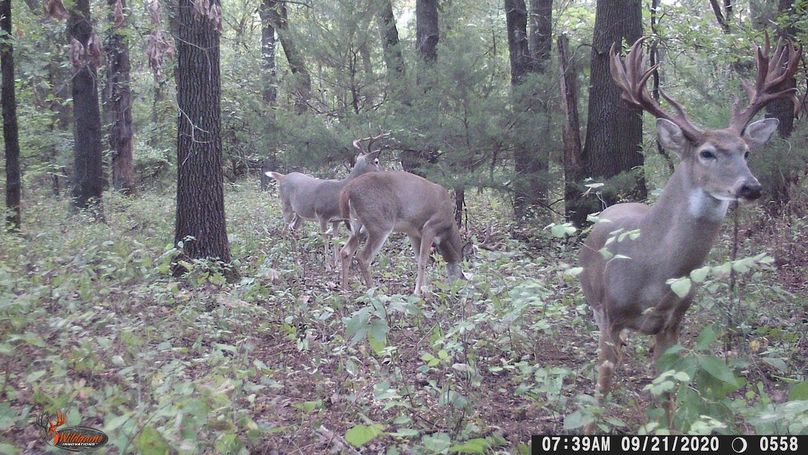 Big Nasty 9-21-20 7.39AM