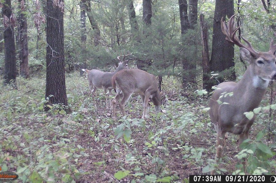 Big Nasty 9-21-20 7.39AM