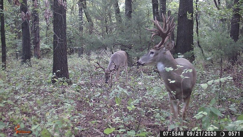 Big Nasty & Trashy 9-21-20 7.55AM