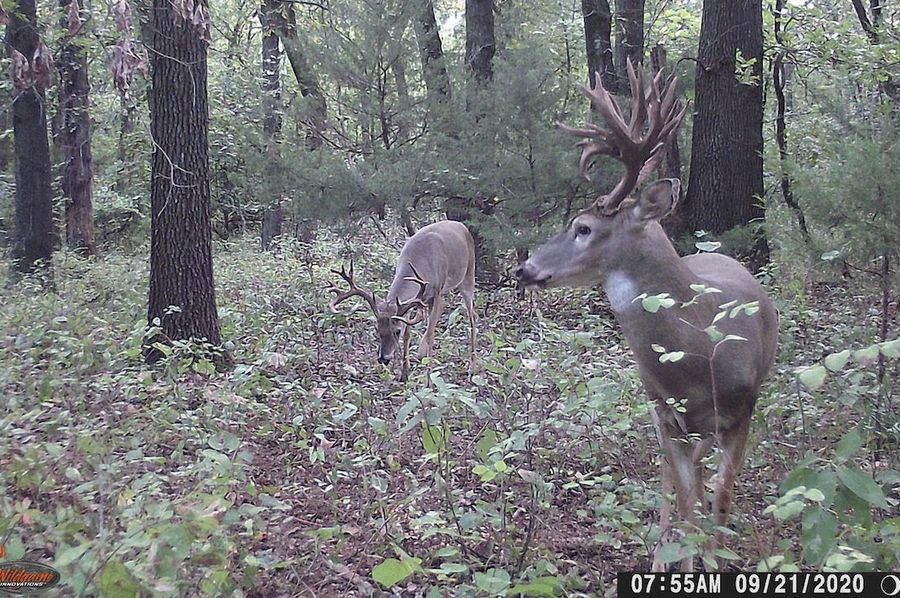 Big Nasty & Trashy 9-21-20 7.55AM