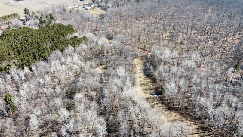 Photo_6619815_DJI_679_jpg_4204543_0_20224110528_photo_original