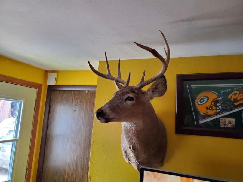 Resized9520220329951403349530582992268333