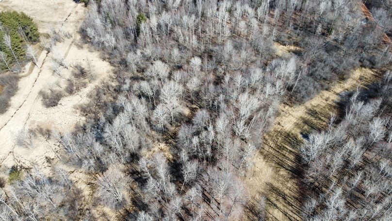 Photo_6619812_DJI_676_jpg_4120949_0_202241105052_photo_original