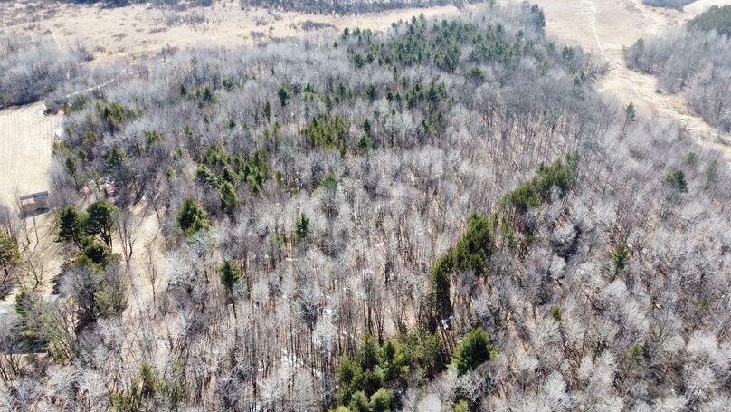 Photo_6619814_DJI_678_jpg_4142948_0_20224110512_photo_original