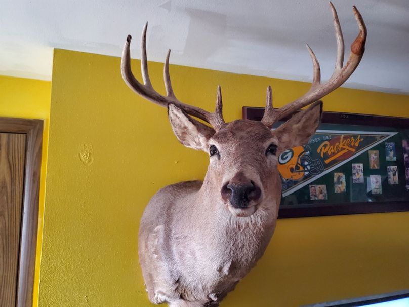 Resized_20220329_140305