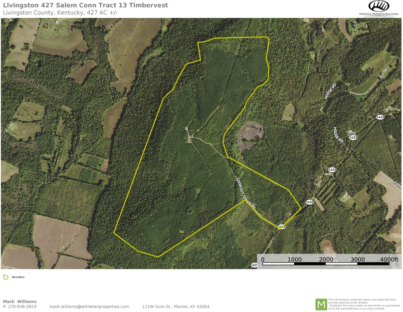 Livingston 427 aerial