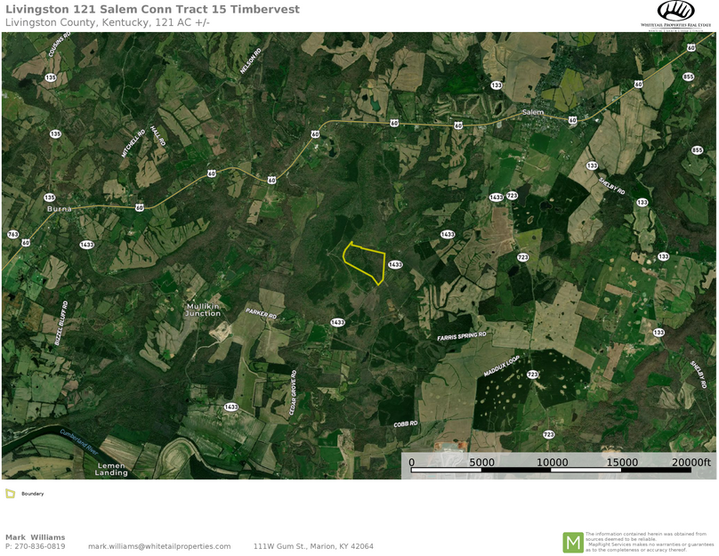 Livingston 121 airplane