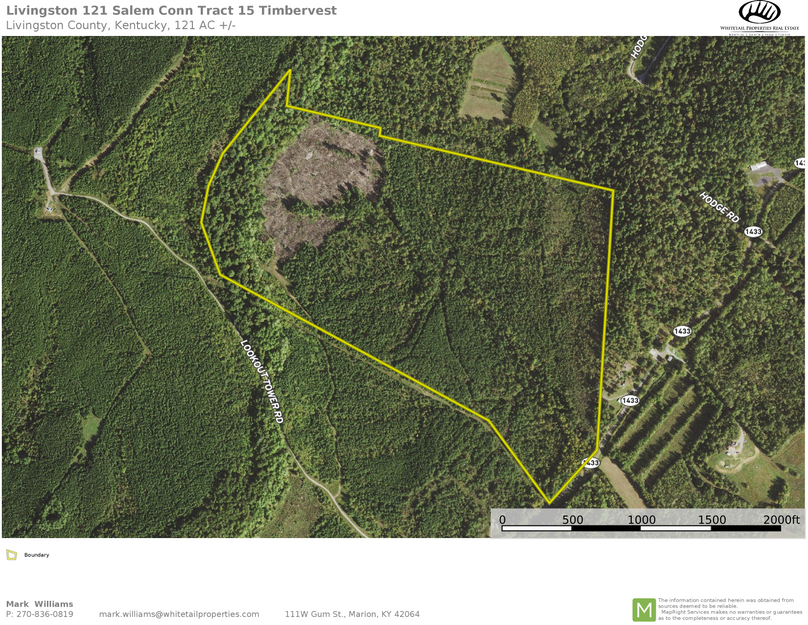 Livingston 121 aerial