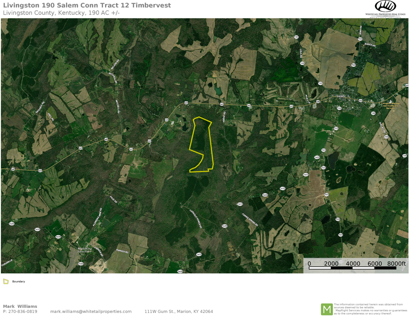 Livingston 190 airplane