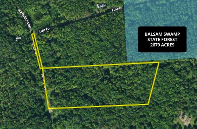 Chenango 11.9 Trout Google Aerial